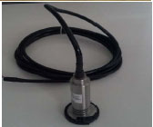 SIP在线灭菌压力探头