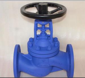 波纹管法兰截止阀