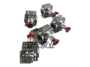 耐用不锈钢齿轮泵