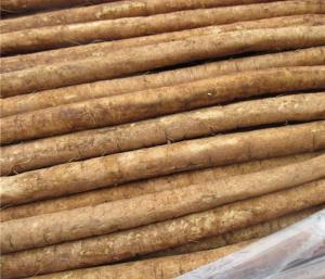 加工牛蒡茶设备 有？