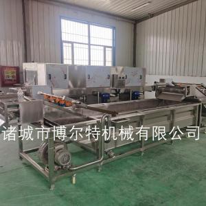 气泡清洗机型号 去泥土生姜洗姜机价格 全自动果蔬清洗机