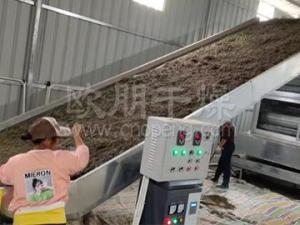 脱水蔬菜前处理生产线