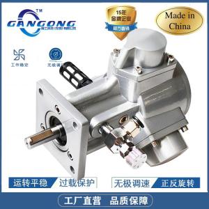 供应GGM1-F1/8立式活塞气动马达5加仑
