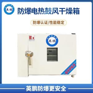 英鹏 天津 防爆卧式鼓风干燥箱 制药厂房防爆干燥箱
